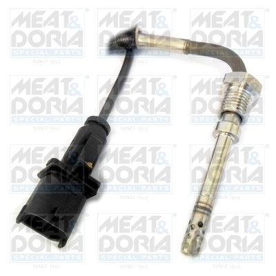 Sensor, exhaust gas temperature